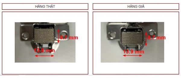Quan sát ngoại quan